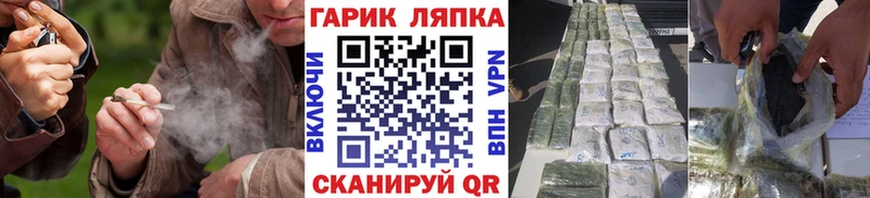 ГАШ Premium Лодейное Поле