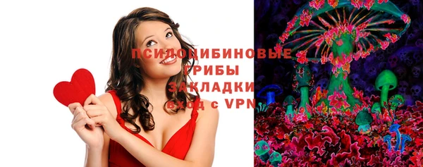 прущие грибы Алексин