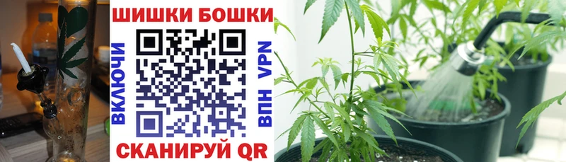 цена Лодейное Поле Конопля AK-47